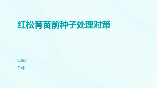 红松育苗前种子处理对策