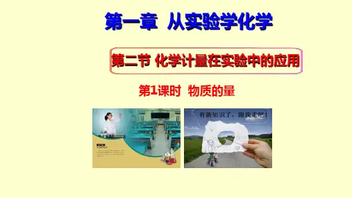 物质的量-PPT课件人教版