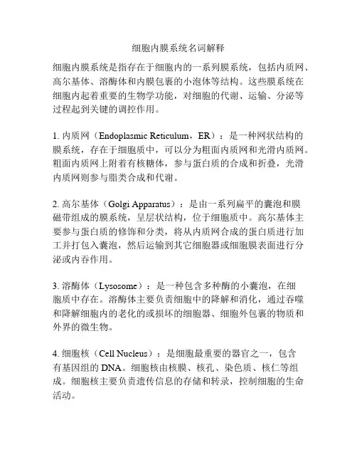 细胞内膜系统名词解释