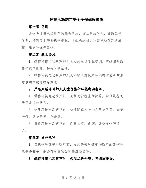 环链电动葫芦安全操作规程模版