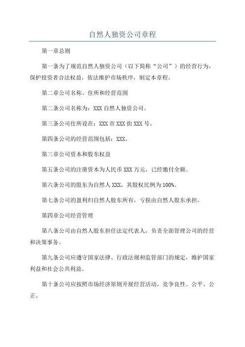自然人独资公司章程