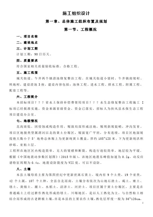 水土保持水生态治理施工组织设计