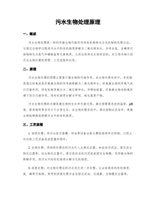 污水生物处理原理