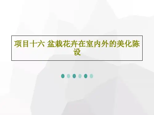 项目十六 盆栽花卉在室内外的美化陈设共27页