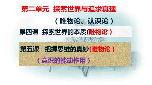2021年高考政治一轮复习课件：生活与哲学第五课  把握思维的奥妙 