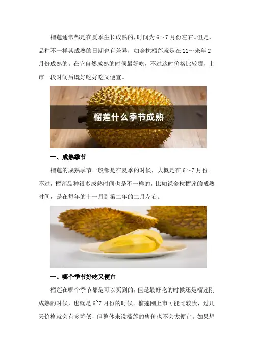 榴莲什么季节成熟,什么季节吃又便宜又好