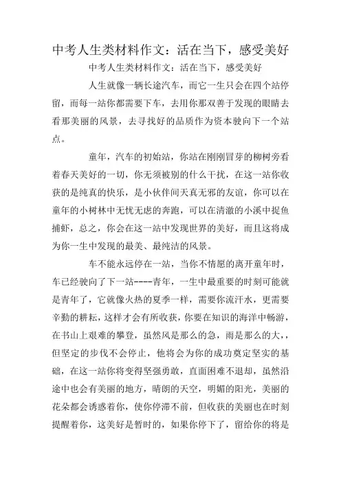 中考人生类材料作文：活在当下,感受美好