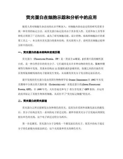 荧光蛋白在细胞示踪和分析中的应用