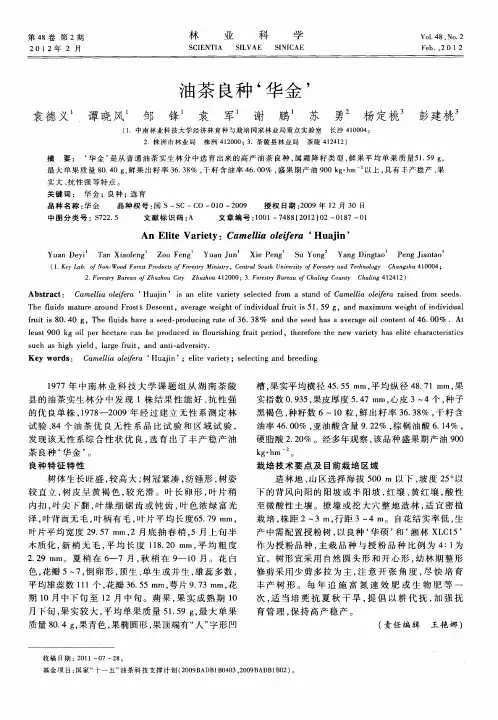 油茶良种‘华金’