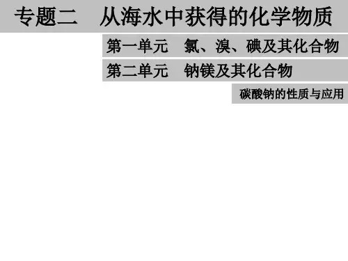 专题二从海水中获得的化学物质