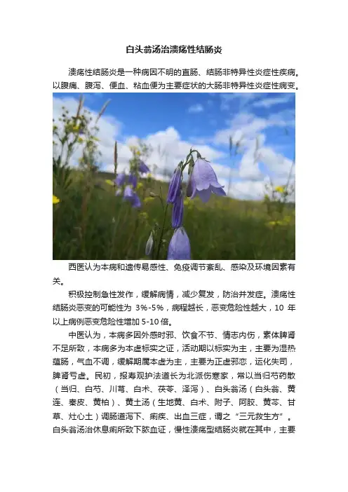 白头翁汤治溃疡性结肠炎