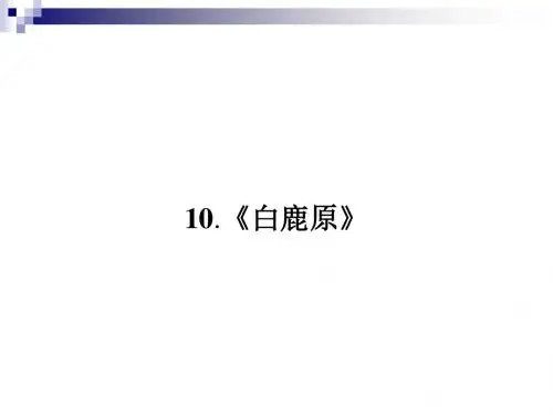 高中语文第10课《白鹿原》课件新人教版选修《中国小说欣赏》