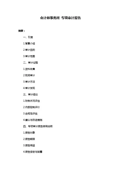 会计师事务所 专项审计报告