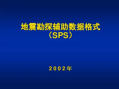 第五章 SPS格式