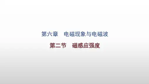 高中物理课件  磁感应强度