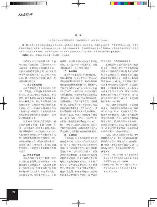 水稻恶苗病研究进展