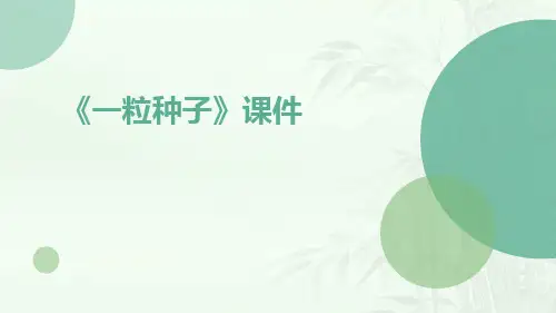 《一粒种子》课件一粒种子
