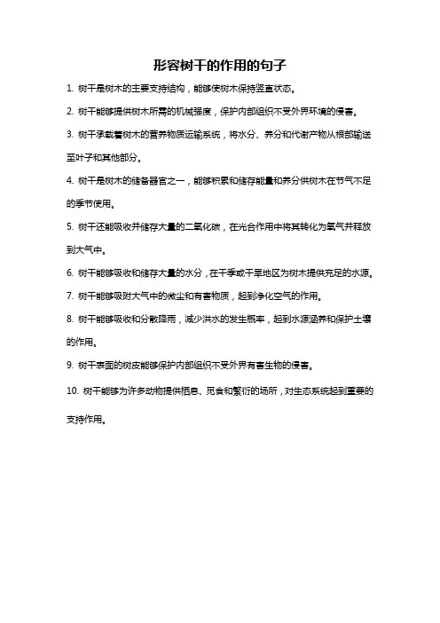形容树干的作用的句子