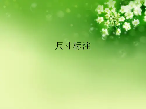 尺寸标注优秀课件