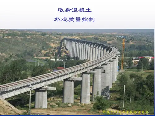 QC墩身混凝土外观质量控制