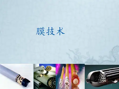 膜技术PPT课件