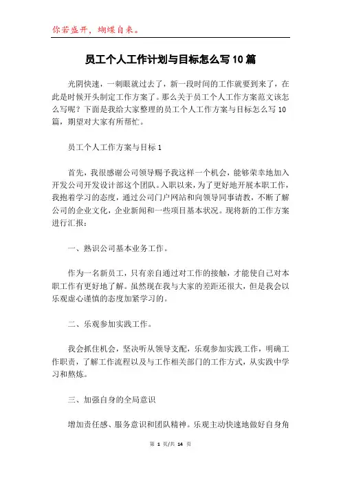 员工个人工作计划与目标怎么写10篇