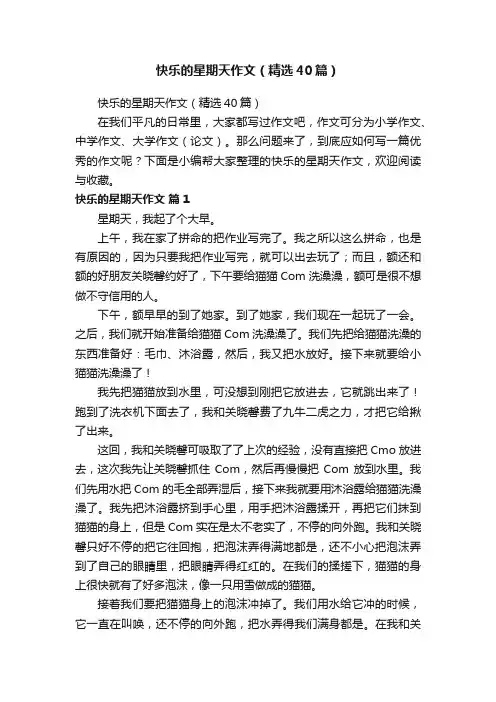 快乐的星期天作文（精选40篇）