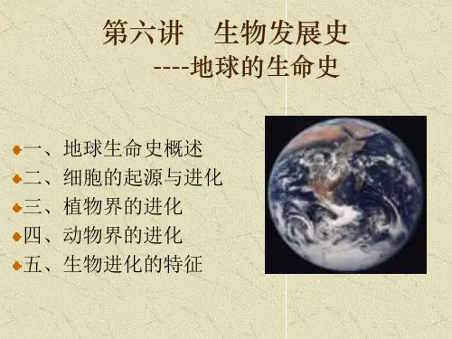 第六讲生物进化的历程6