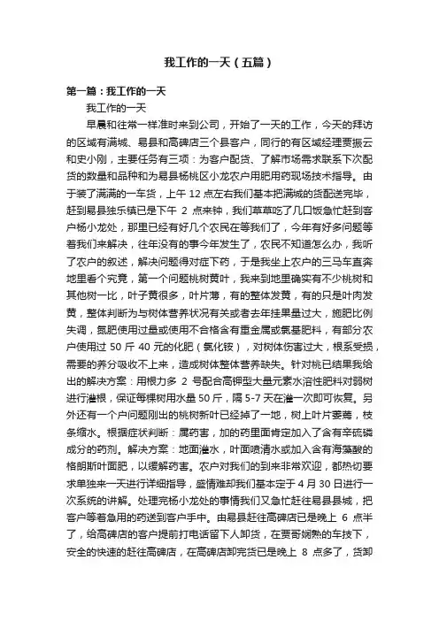 我工作的一天（五篇）