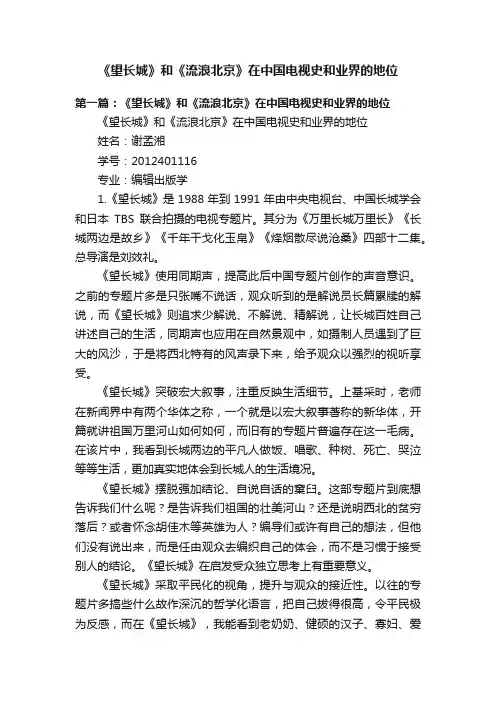 《望长城》和《流浪北京》在中国电视史和业界的地位