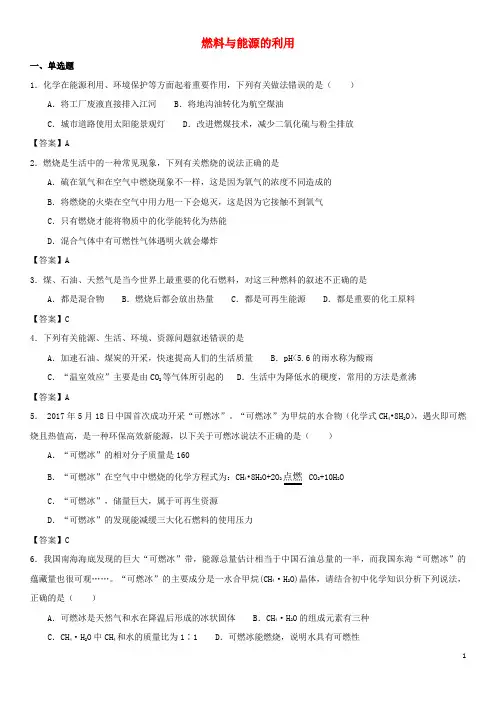 2018年中考化学专题测试卷 燃料与能源的利用