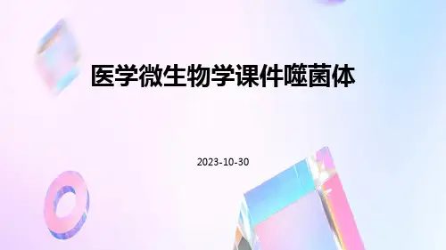 医学微生物学课件噬菌体