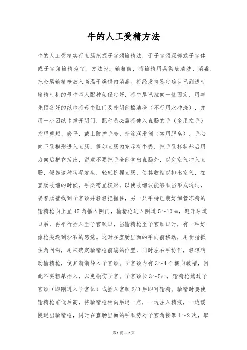 牛的人工受精方法
