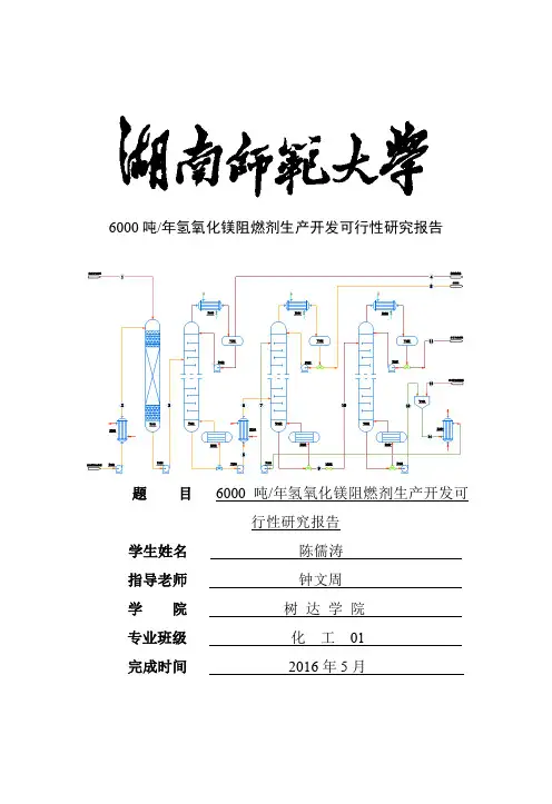 年产6000吨氢氧化镁阻燃剂生产开发可行性研究报告书