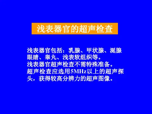浅表器官