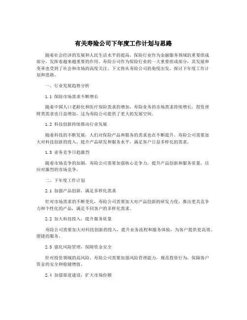 有关寿险公司下年度工作计划与思路