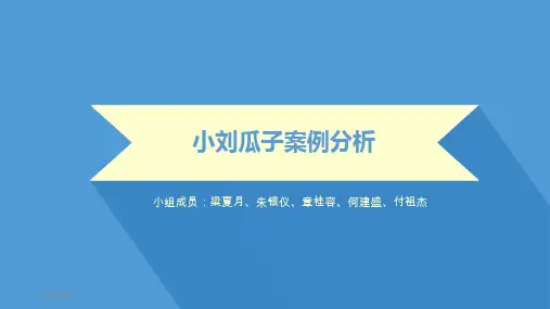 小刘瓜子案例分析PPT课件