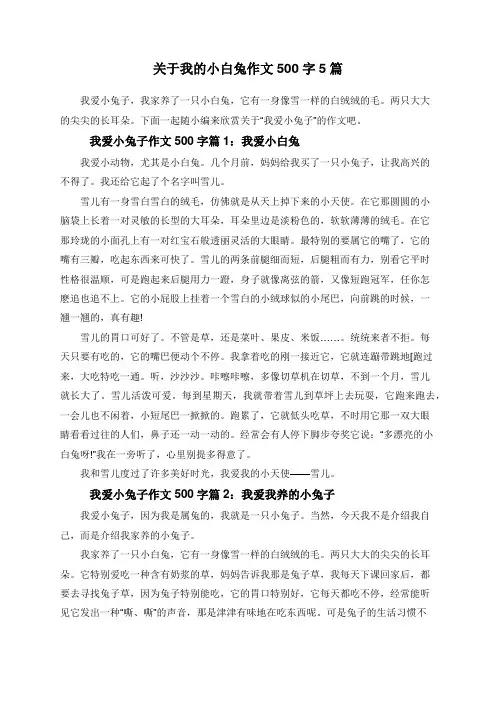 关于我的小白兔作文500字5篇