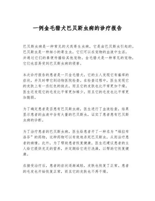 一例金毛猎犬巴贝斯虫病的诊疗报告