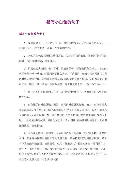 描写小白兔的句子