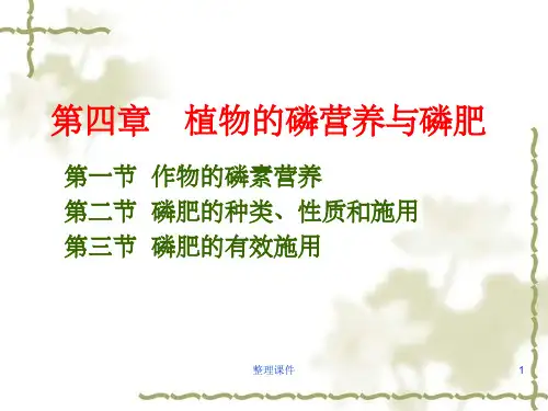 植物的磷素营养与施肥