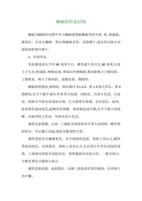 蟾蜍的形态结构