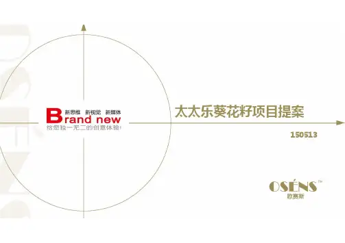 中国三大调味品品牌休闲食品新产品包装策划创意策略提案