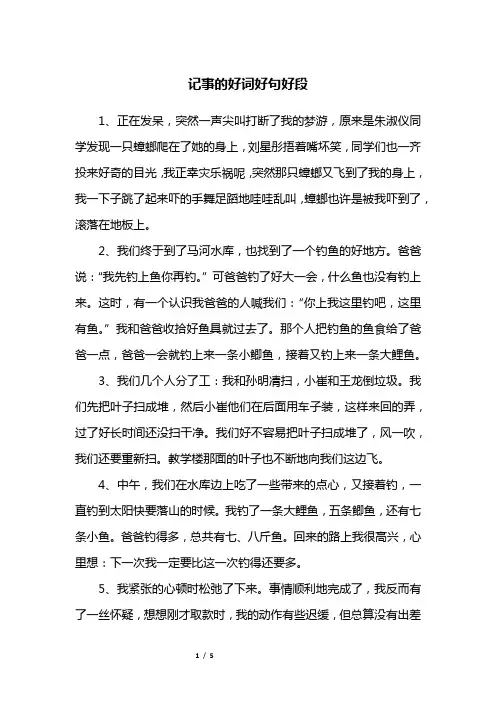记事的好词好句好段