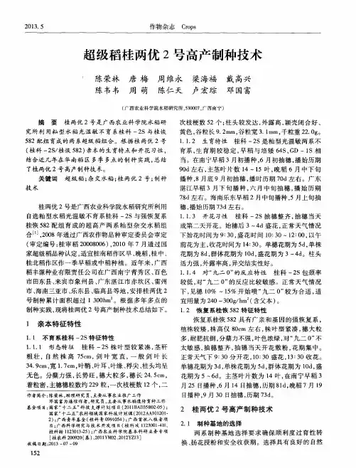 超级稻桂两优2号高产制种技术