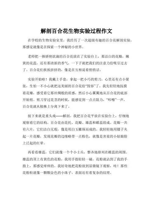 解剖百合花生物实验过程作文