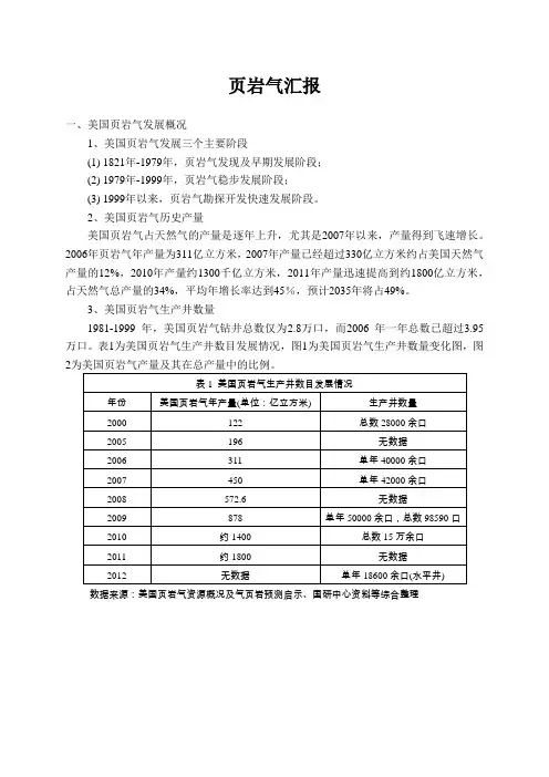 页岩气情况分析报告
