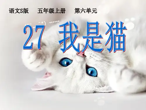 《我是猫》教学课件