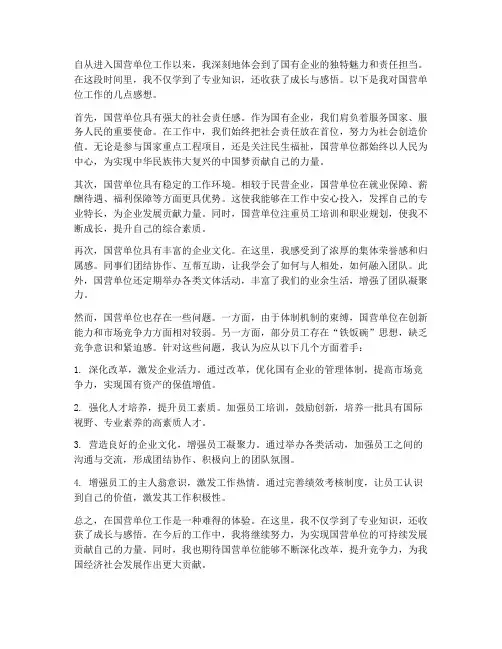 国营单位工作感想