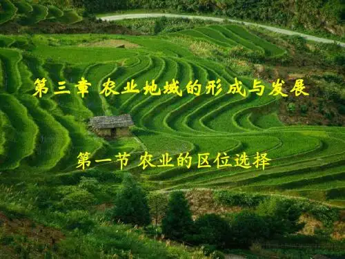 【高中地理】农业的区位选择PPT课件33